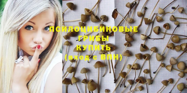 гашик Абинск