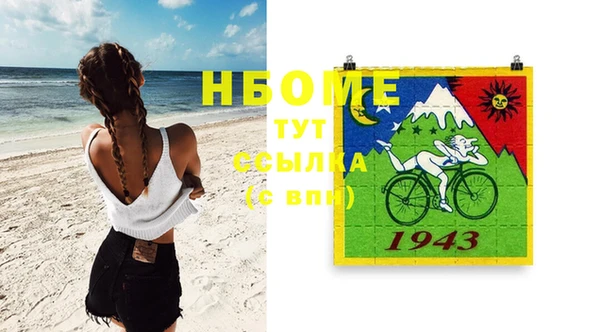 стаф Алексин