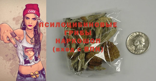 гашик Абинск