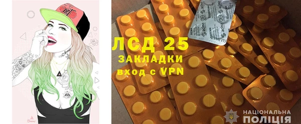 стаф Алексин