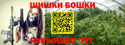 бошки Гагарин