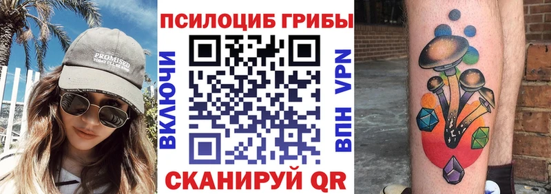 Псилоцибиновые грибы MAGIC MUSHROOMS Каменск-Шахтинский
