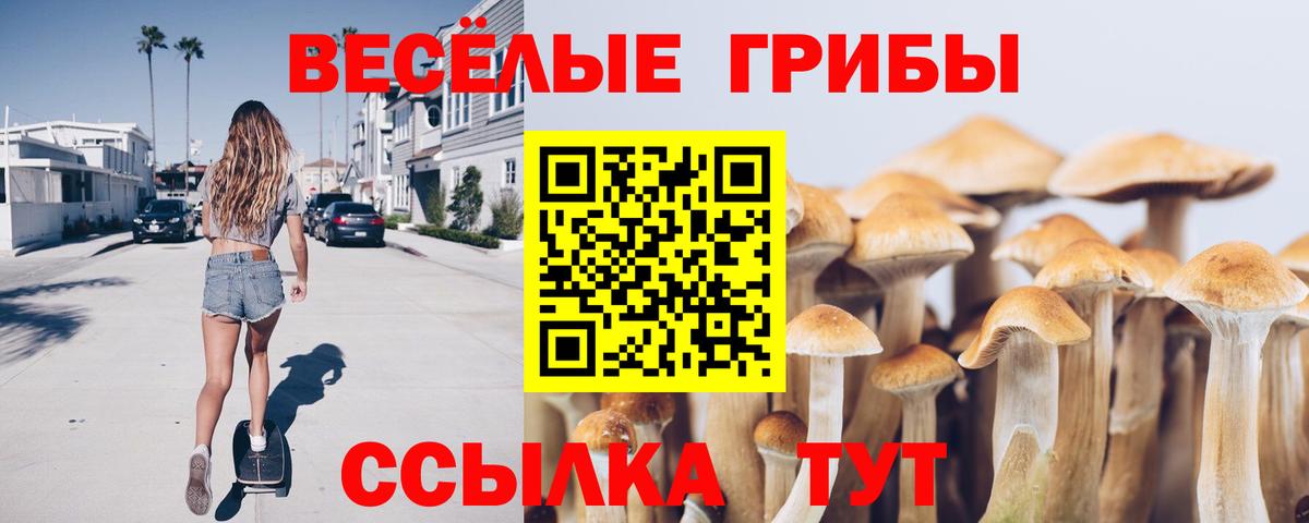 Галлюциногенные грибы MAGIC MUSHROOMS  Вход с VPN  Каменск-Шахтинский 